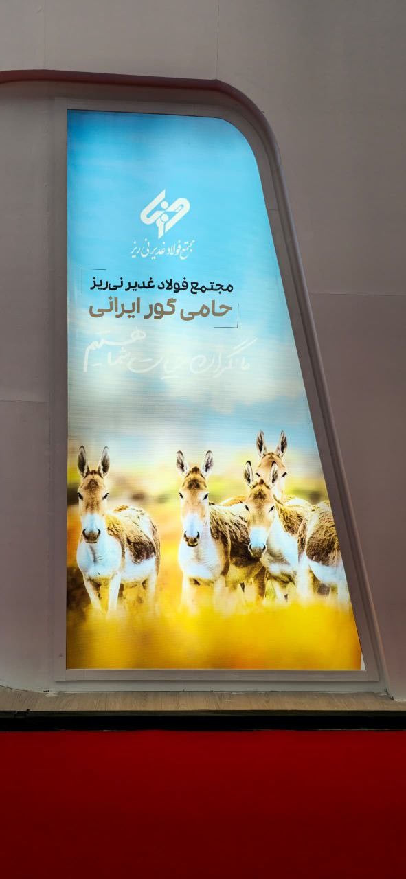 گور ایرانی